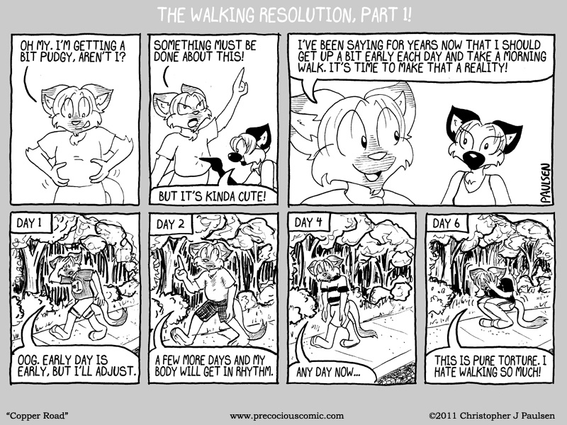 Copper Road Strip #30