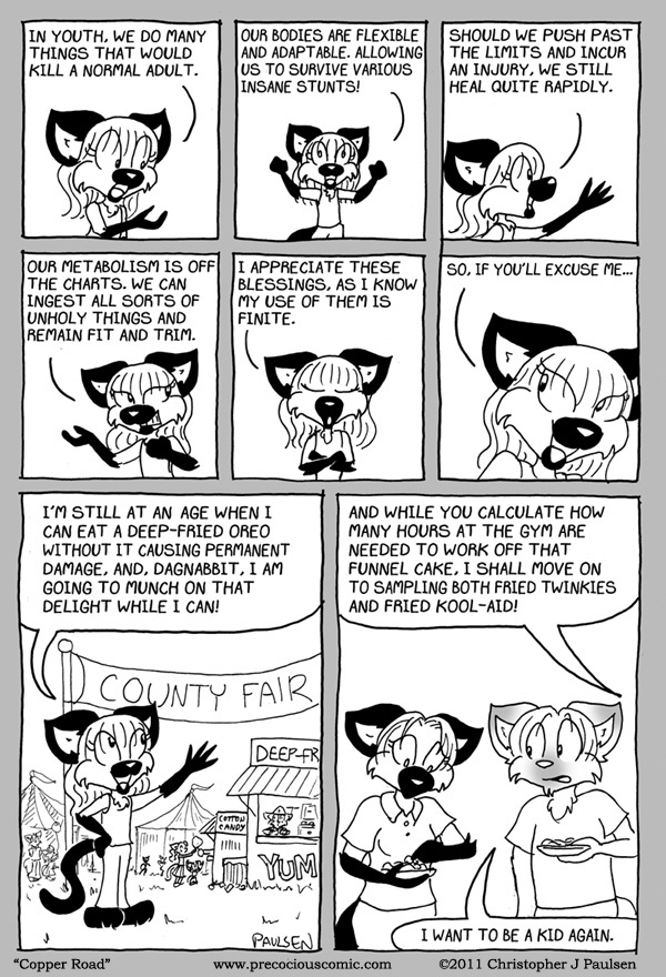 Copper Road Strip #35