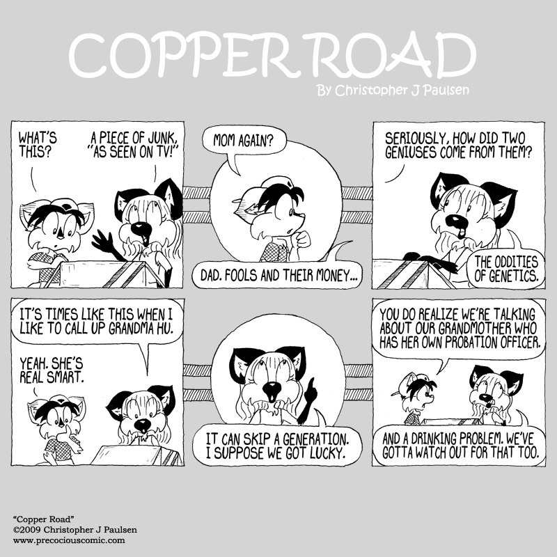 Copper Road Strip #6